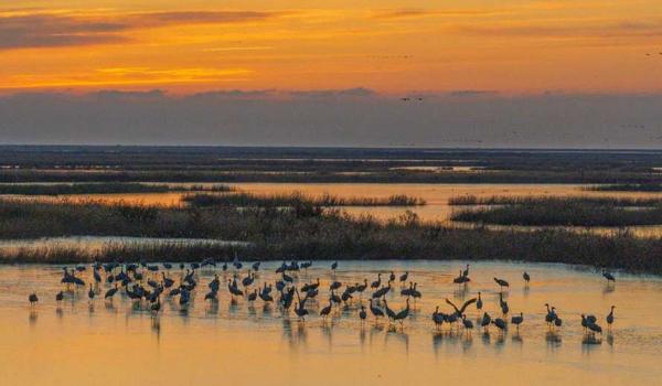 三角洲行动画质修改器手机怎么下(给我一个三角洲行动画质修改器的下载链接) 三角洲行动画质修改器手机怎么下(给我一个三角洲行动画质修改器的下载链接)